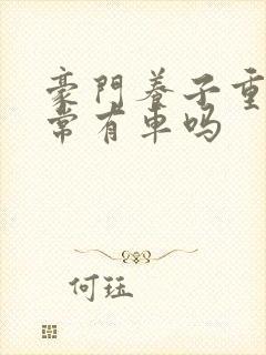 豪门养子重生日常有车吗