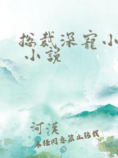 总裁深宠小甜妻 小说