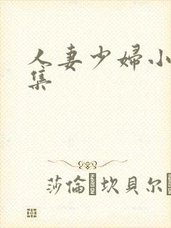 人妻少妇小说合集