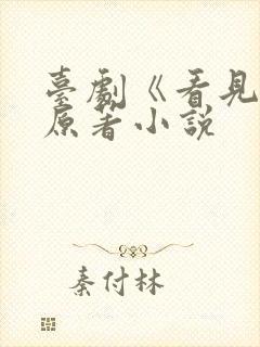 台剧《看见爱》原著小说