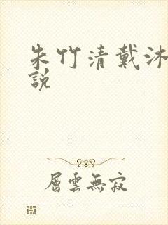 朱竹清戴沐白小说