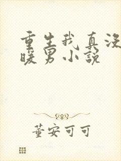 重生我真没想当暖男小说