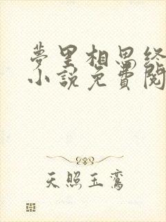 梦里相思终随风小说免费阅读