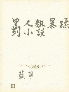 黑人粗暴蹂躏系列小说