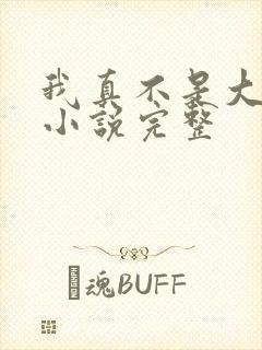 我真不是大佬 小说完整