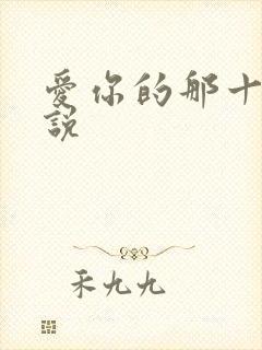 爱你的那十年小说