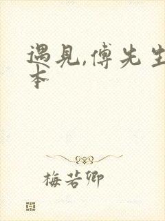 遇见,傅先生完本