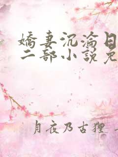 娇妻沉沦日记第二部小说免费阅读