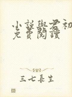 小说与君初相识免费阅读