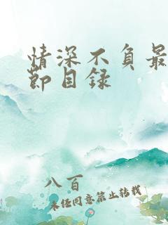 情深不负最新章节目录