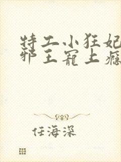 特工小狂妃高冷邪王宠上瘾免费阅读