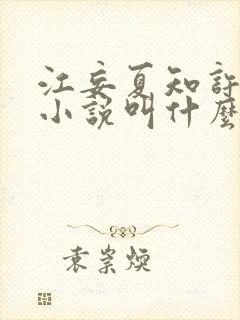 江妄夏知许原著小说叫什么
