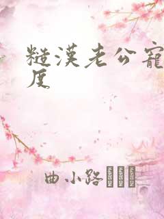 糙汉老公宠妻无度