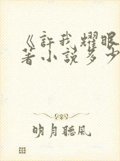 《许我耀眼》原著小说多少字