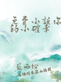 免费小说你是我的小确幸