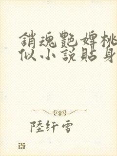 销魂艳婢桃儿类似小说贴身丫鬟