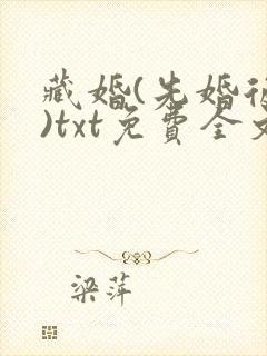 藏婚(先婚后爱)txt免费全文阅读