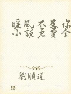 暖风不及你情深小说免费全本阅读