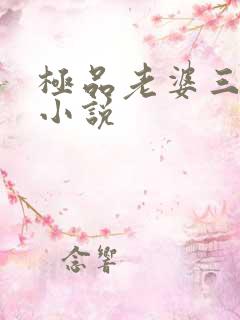 极品老婆三人行小说