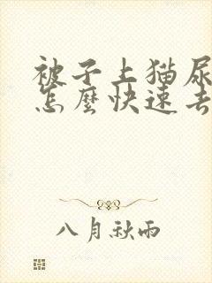 被子上猫尿骚味怎么快速去除