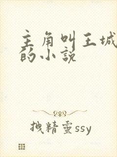 主角叫王城陈蓉的小说