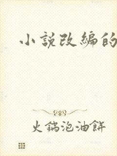 小说改编的网剧