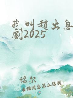 我叫赵出息电视剧2025