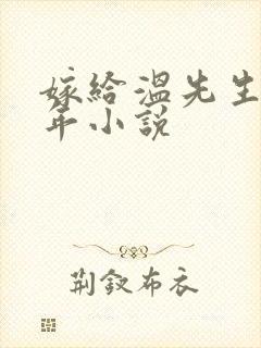 嫁给温先生第五年小说