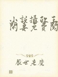 小说摄政王的小闲妻免费阅读