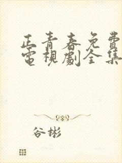 正青春免费观看电视剧全集