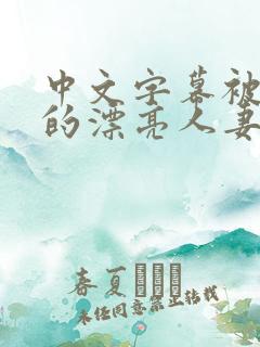 中文字幕被侵犯的漂亮人妻