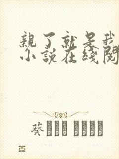 亲了就是我媳妇小说在线阅读全文免费