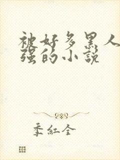 被好多黑人一启强的小说