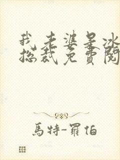 我老婆是冰山女总裁免费阅读全文