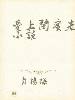 爱上闺蜜老公的小说