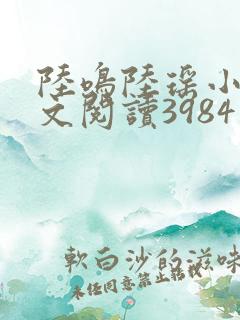 陆鸣陆瑶小说全文阅读3984章