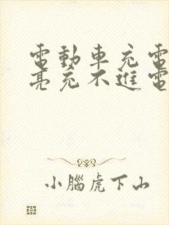 电动车充电绿灯亮充不进电怎回事