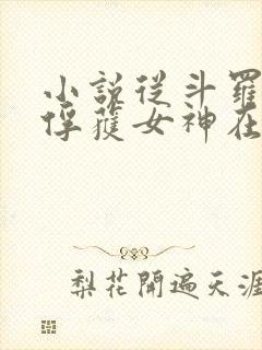 小说从斗罗开始俘获女神在线阅读