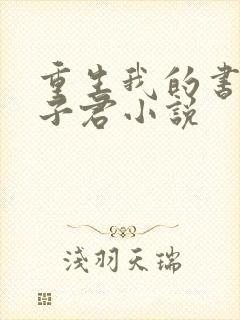 重生我的书记王子君小说