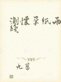 测怀孕纸两道红线