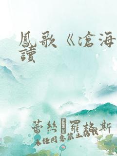 凤歌《沧海》阅读