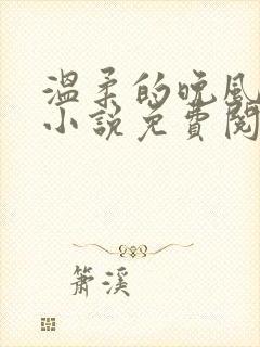 温柔的晚风老佟小说免费阅读