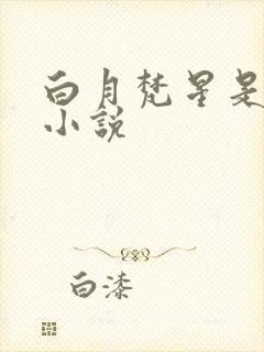 白月梵星是哪部小说