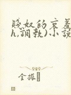 贱奴的哀羞(高h,调教)小说