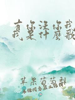有你没你我都是我是什么歌
