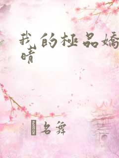 我的极品娇妻苏晴