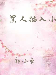 黑人插入小说