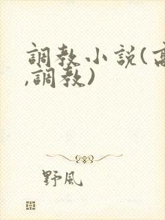 调教小说(高h,调教)