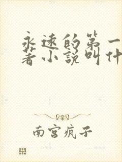 永远的第一名原著小说叫什么