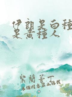 伊朗是白种人还是黄种人